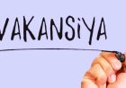 Vakansiyalar