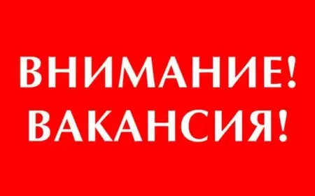 В Баку открыта вакансия в сфере морского транспорта