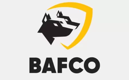 Bafco İnvest vakansiya: Baş mühasib axtarılır.