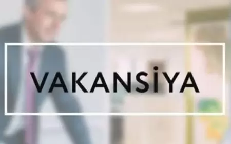Uniser Group vakansiya: Interface Developer (Angular).