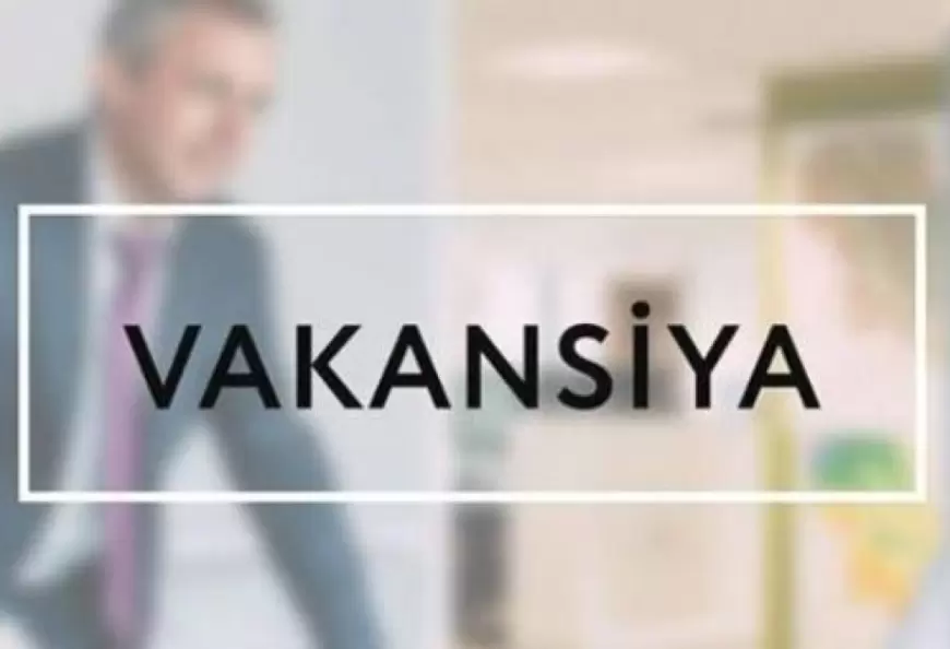 Avromed Company vakansiya: UX/UI dizayner axtarılır.