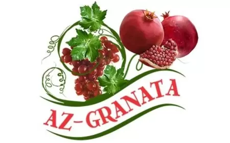 Az-Granata vakansiya: Maliyyə analitiki axtarılır.