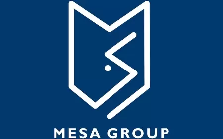 Mesa Group vakansiya: Xarici Satınalma üzre Mütəxəssis.