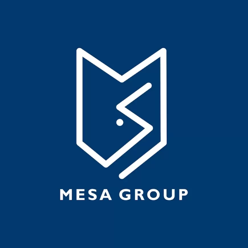 Mesa Group vakansiya: Xarici Satınalma üzre Mütəxəssis.