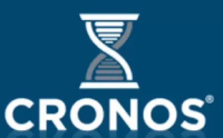 Cronos MTK vakansiya: İnteryer və Eksteryer dizayner.